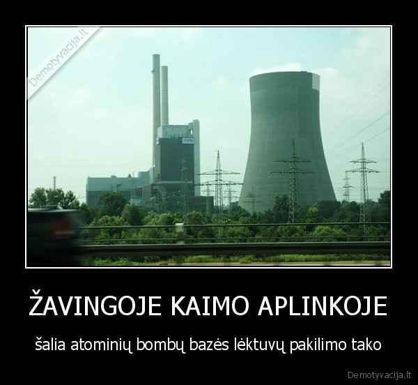 ŽAVINGOJE KAIMO APLINKOJE