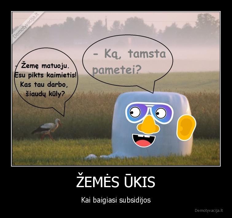 zemes, ukis,ukininkas,subsidijos,zeme,kaimas