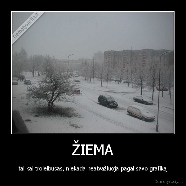 ŽIEMA