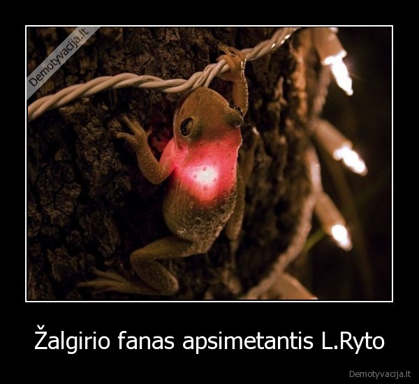 Žalgirio fanas apsimetantis L.Ryto