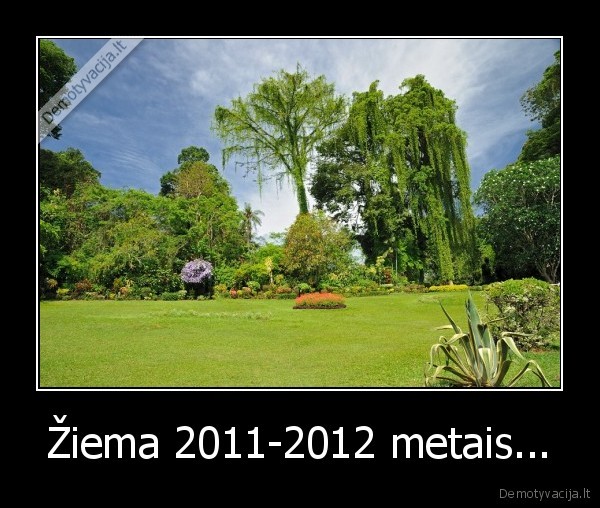 Žiema 2011-2012 metais...