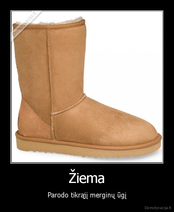 Žiema