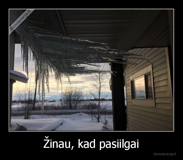 pasiilgai,varvekliai,ziema