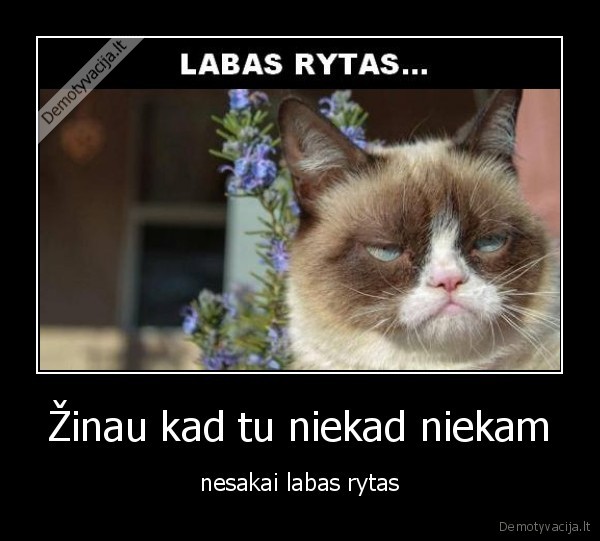 labas, rytas