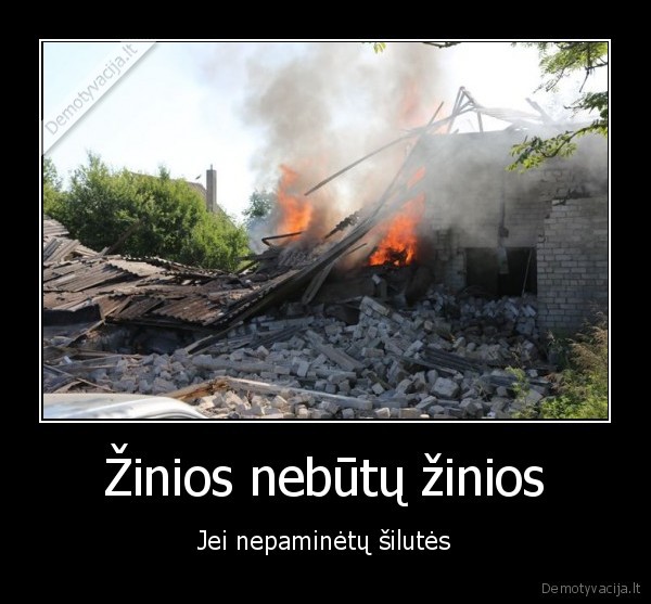 zinios,visokios, nesamones, siluteje