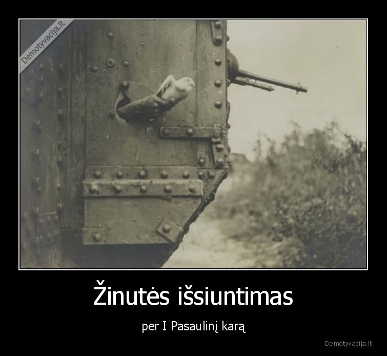 pasaulinis,karas,zinute,paukstis