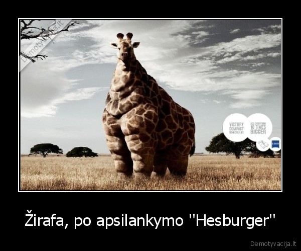 Žirafa, po apsilankymo ''Hesburger''