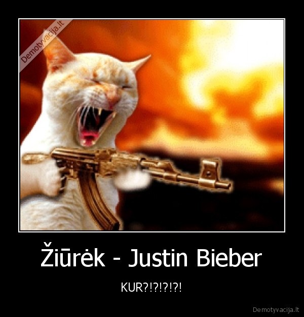 bieberis, uzkniso, juodai