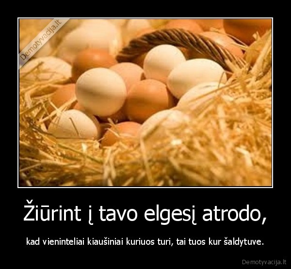 Žiūrint į tavo elgesį atrodo,