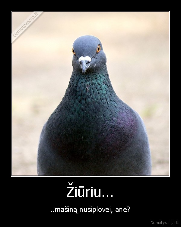 Žiūriu...