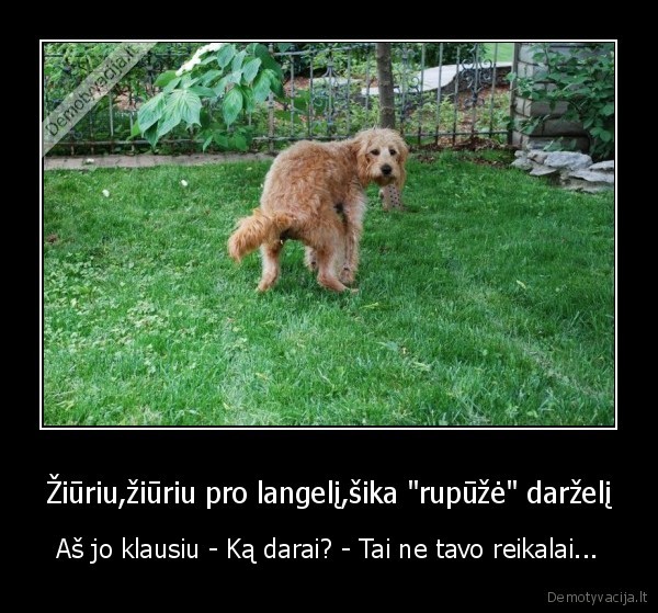 sika, rupuze, darzeli