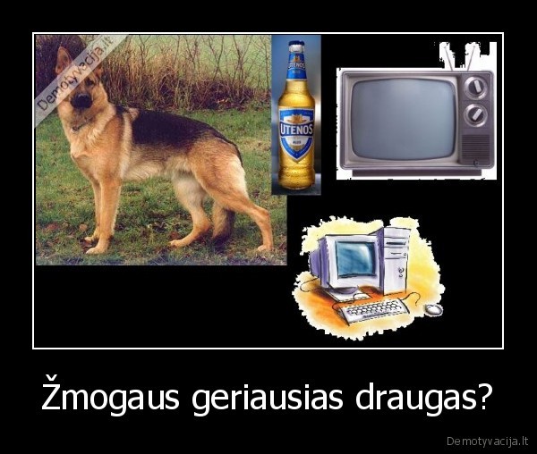 zmogaus, geriausias, draugas, suo, tv, kompas, alus