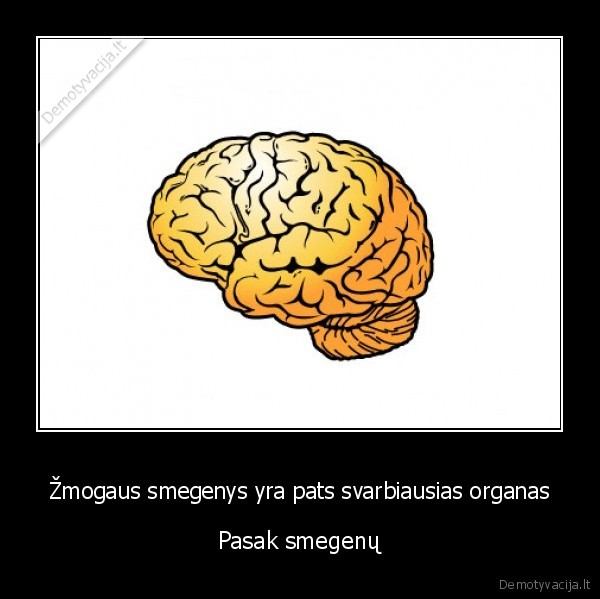 Žmogaus smegenys yra pats svarbiausias organas