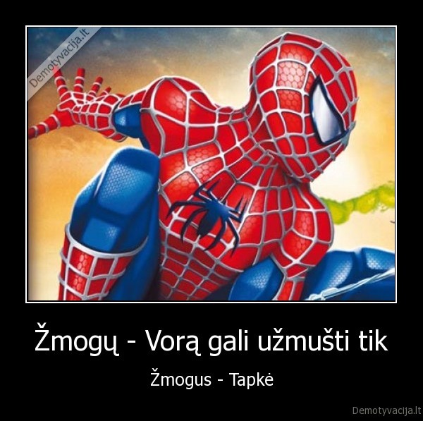 spider, man