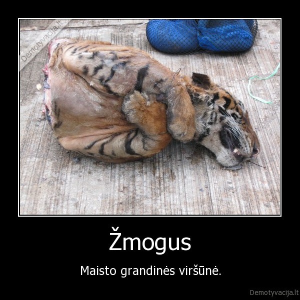 Žmogus