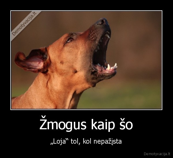 Žmogus kaip šo