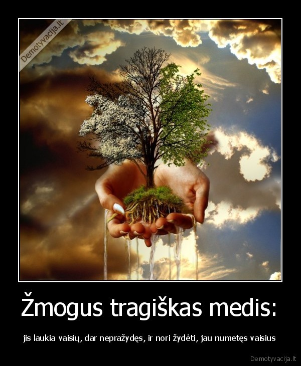 Žmogus tragiškas medis: