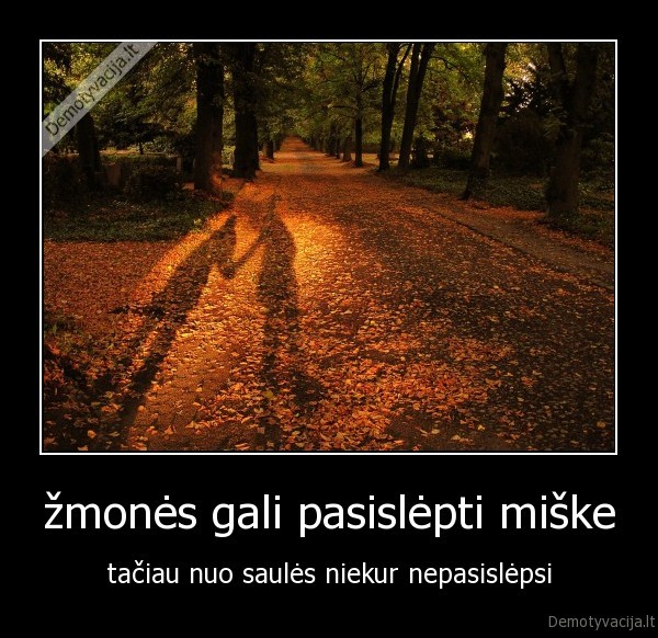 žmonės gali pasislėpti miške