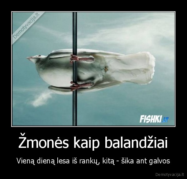 Žmonės kaip balandžiai