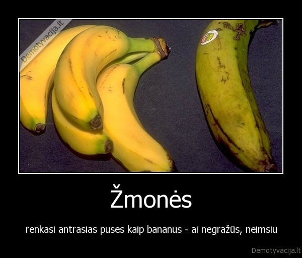 bananai,gyvenimas,zmones,santykiai