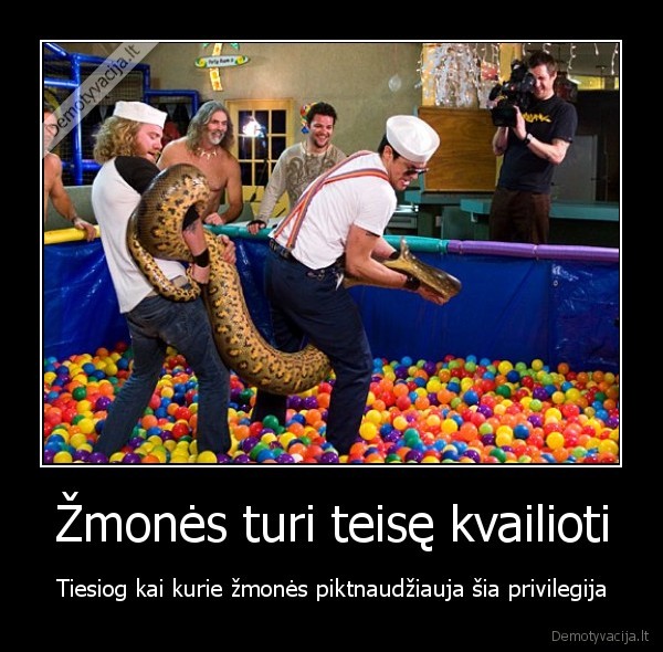 kvailas,naudotis