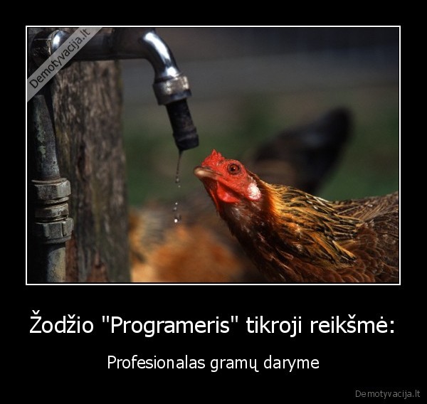 Žodžio &quot;Programeris&quot; tikroji reikšmė: