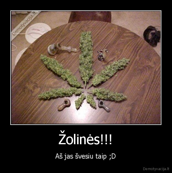 zolines,jau,greitai,per,tv3