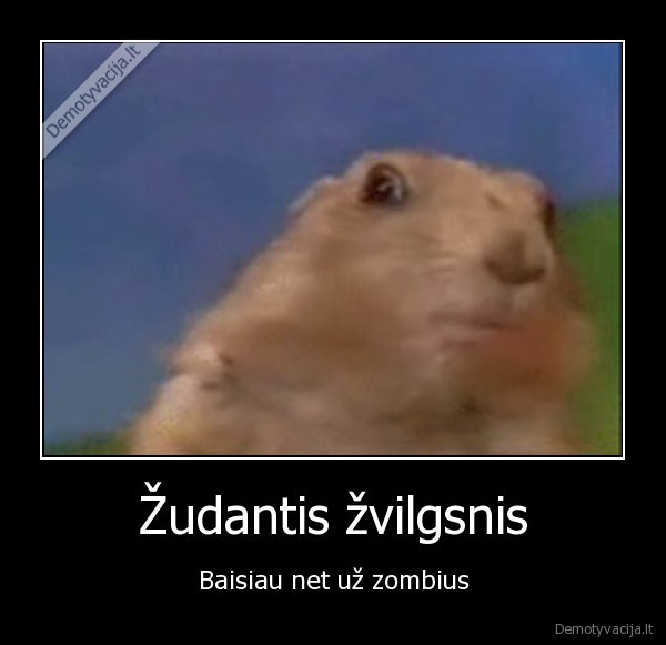 Žudantis žvilgsnis