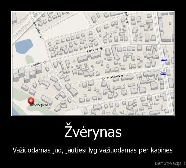 duobes, zverynas