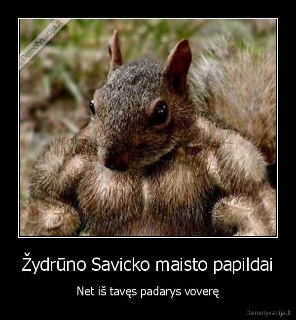 vovere,zydrunas,ne, ne, zydras, arunas, o, zydrunas,savickas,raumenukai