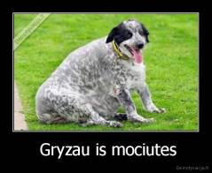  Gryzau is mociutes - 