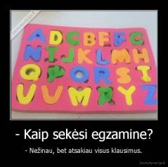 - Kaip sekėsi egzamine? - - Nežinau, bet atsakiau visus klausimus.