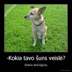 -Kokia tavo šuns veislė? - -Kiemo lenciūginis.