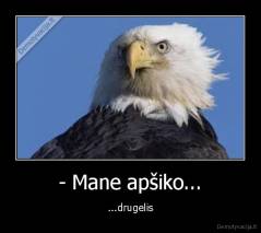 - Mane apšiko... - ...drugelis