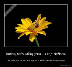 -Rodos, bitės kažką įtaria. -O ką? -Nežinau.  -  Bet jaučiu, kad jos yra įtarios. -gal mano, kad tu gretiniesi prie jų medaus?