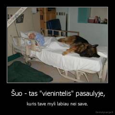  Šuo - tas "vienintelis" pasaulyje, - kuris tave myli labiau nei save.