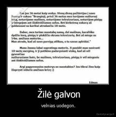  Žilė galvon -  velnias uodegon.