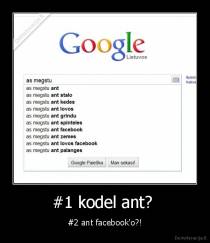 #1 kodel ant?  - #2 ant facebook'o?!