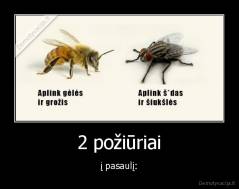 2 požiūriai - į pasaulį: