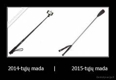 2014-tųjų mada      |          2015-tųjų mada - 