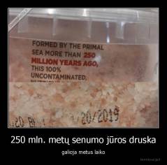250 mln. metų senumo jūros druska - galioja metus laiko