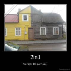 2in1 - Surask 10 skirtumu