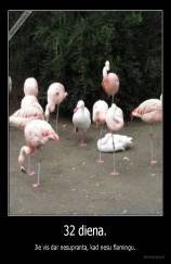 32 diena. - Jie vis dar nesupranta, kad nesu flamingu.