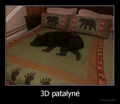 3D patalynė - 