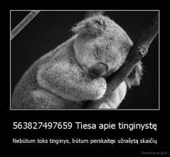 563827497659 Tiesa apie tinginystę - Nebūtum toks tinginys, būtum perskaitęs užrašytą skaičių