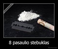 8 pasaulio stebuklas - 