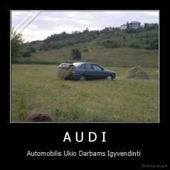 A U D I - Automobilis Ukio Darbams Igyvendinti 