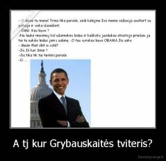 A tj kur Grybauskaitės tviteris? - 