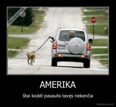 AMERIKA - štai kodėl pasaulis tavęs nekenčia