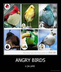 ANGRY BIRDS - o jie pikti 